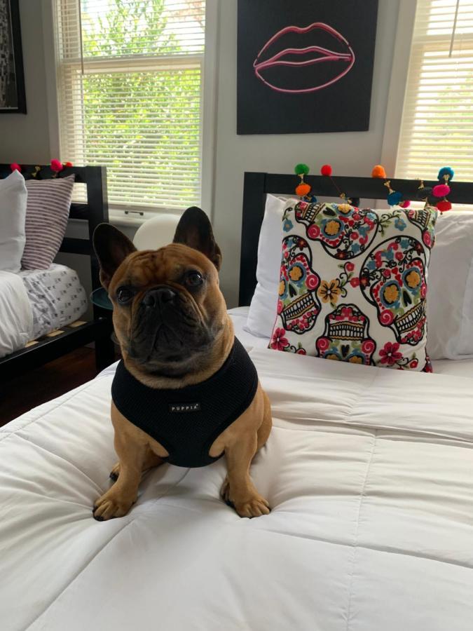 Villa Vibing In The Heights/Breweries/Food/Petfriendly à Tampa Extérieur photo
